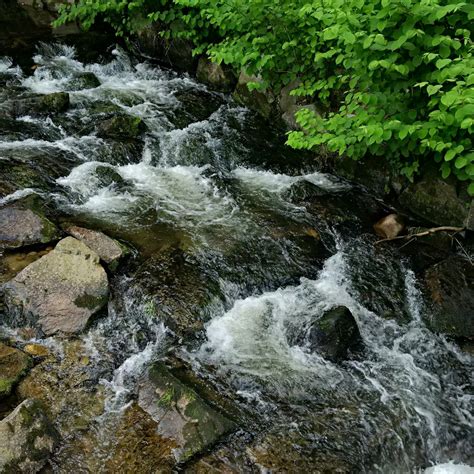 图片素材 树 性质 岩 瀑布 溪 荒野 叶 花 谷 秋季 快速 水体 石头 林地 水特征 河道 黑森林