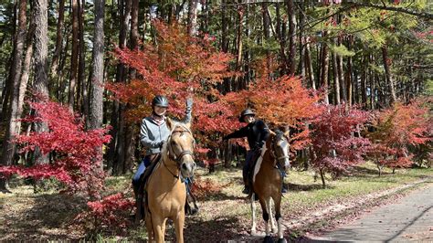 2023年10月28日紅葉外乗【動画公開】 カナディアンキャンプ乗馬クラブ 八ヶ岳