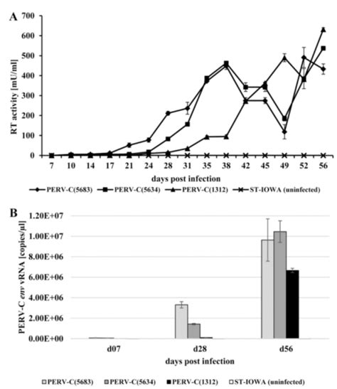 猪器官移植给人再度成为可能！ Journal Of Virology新进展：基因编辑猪或能避免异种器官移植的病毒感染！ 进展专区 生物谷