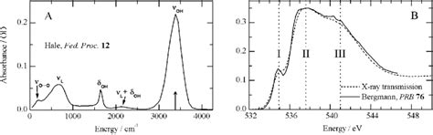 A Static Infrared Absorption Spectrum Of A 400 Nm Thick Water Film