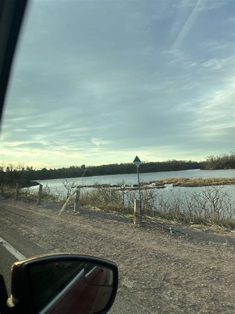 Hunting wmu 58 and surrounding areas - Hunting and Conservation