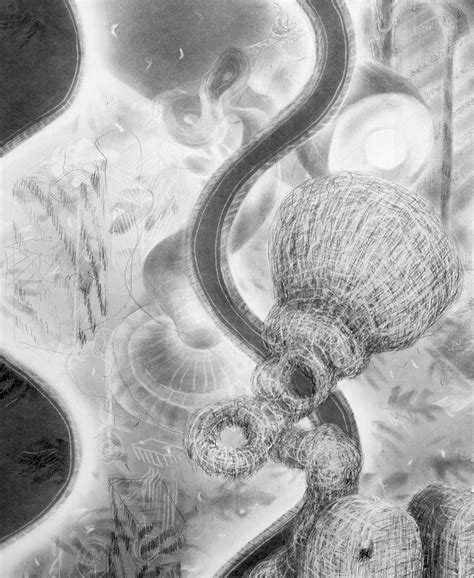 Objects In Transition — Lizzy Drury