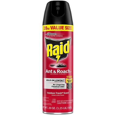 12 Top-Rated Ant Killers (Outdoor and Indoor)