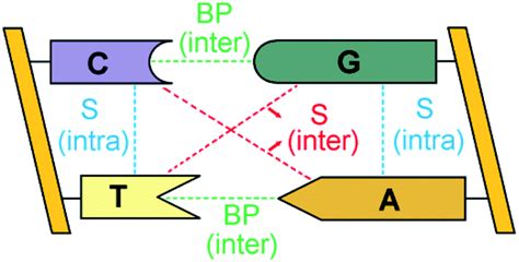 Unveiling The Complex Pattern Of Intermolecular Interactions