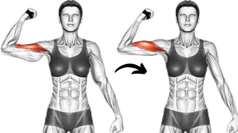 Do This Minute Arms Workout Best Arm Fat Exercises Tone Flabby