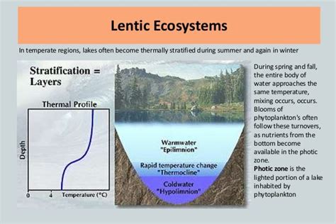 Freshwater Ecosystem 2