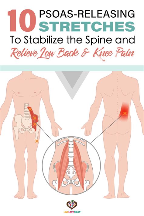 10 Psoas-Releasing Stretches to Stabilize the Spine - Live Love Fruit