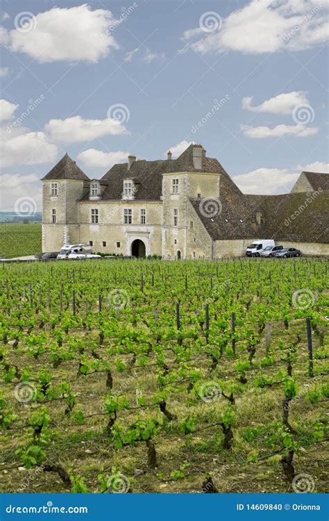 Chateau With Vineyards Burgundy France Stock Photo Image Of Wine