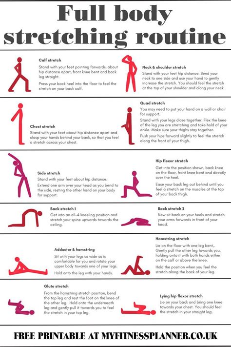 Full body stretching routine – Artofit