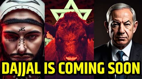 Israel म Red Heifers Prophecy क चरच ज Third World War करव सकत