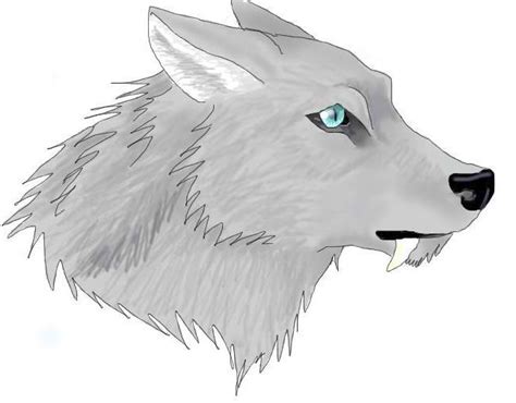 Dire Wolf - Dire Wolf Photo (31888302) - Fanpop