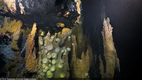 New Hydrothermal Vent Fields Discovered On Mid Atlantic Ridge