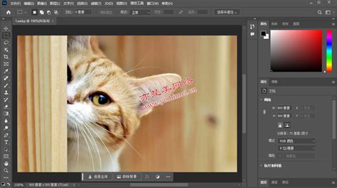 专业图片编辑与处理软件Adobe Photoshop 2024 v25 0 0 37 Firefly AI中文版的下载安装与注册激活教程