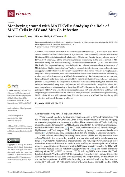 PDF Monkeying Around With MAIT Cells Studying The Role Of MAIT Cells