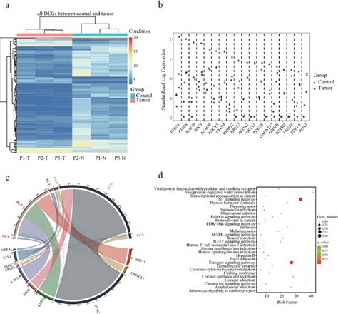 Differentially Expressed Genes Degs In Our Cohort A Unsupervised