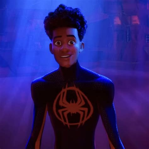 Spider Man From The Animated Movie Into The Spider Verse