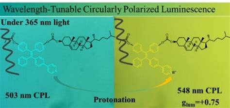 Highly Efficient Wavelengthtunable Circularly Polarized Luminescence