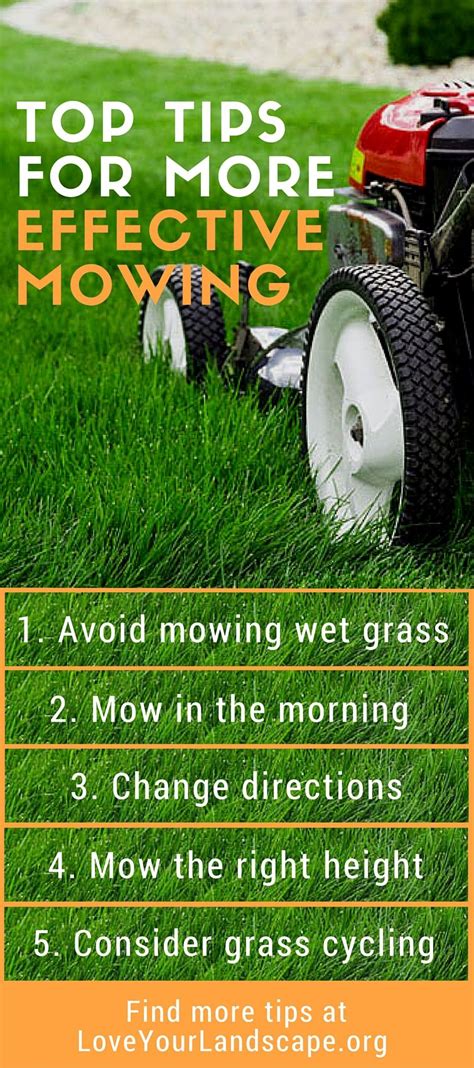 Simple Tips From The Pros For A Healthy Green Lush Lawn Landscape Care Lawn And Landscape