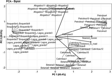 Graphical Representation Of The Principal Component Analysis Pca Used