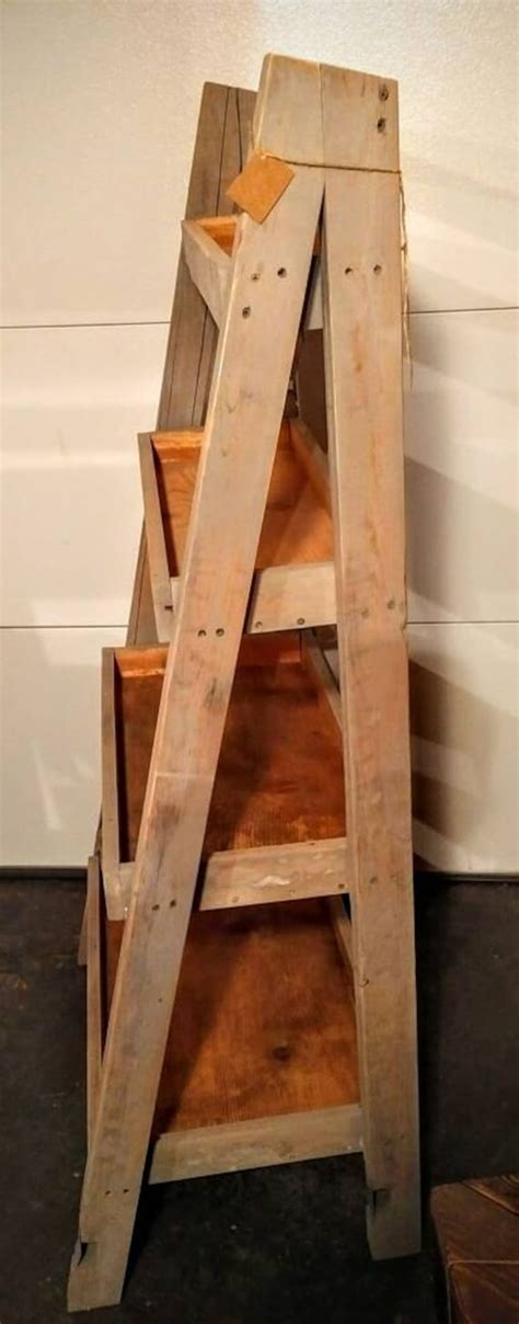 The Rustic Ladder Shelf