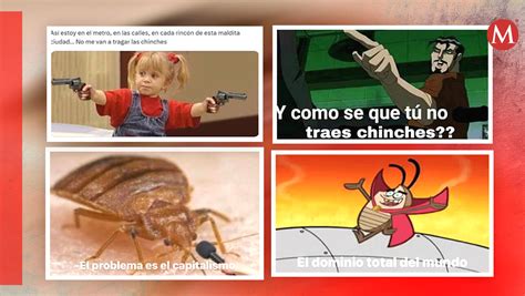 Estos Son Los Mejores Memes Sobre La Aparici N De Chinches En Cdmx