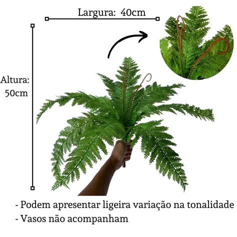 Unidades De Samambaia Artificial Para Jardim Vertical Elo