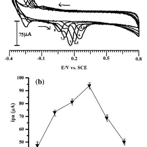 Cyclic Voltammograms Obtained At The Psra Mcntpe In 02 M Pbs In Ph Download Scientific