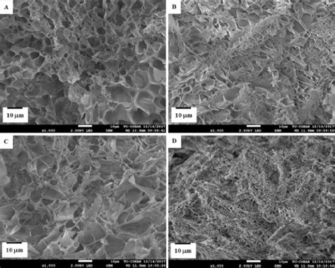 SEM Micrograph Of Freeze Dried Hydrogel Composite A Neat Poly Vinyl