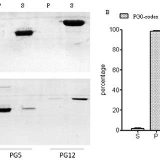 PK Resistance Of PG0 PG5 And PG12 Before And After Redox A Western