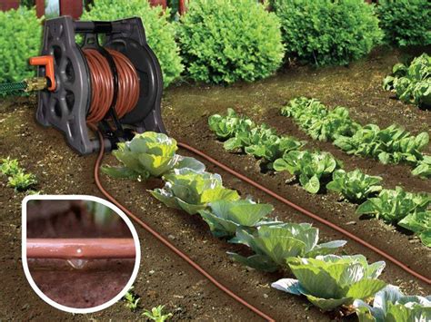 Genesis Drip Irrigation System | Greenhouse Emporium