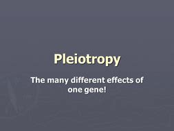 Pleiotropy | Teaching Resources