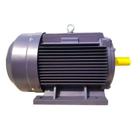 Cast Iron Housing Ac Motor Iec High Efficiency Electrical Motor China