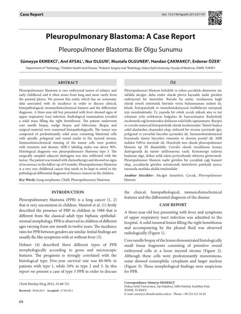 PDF Pleuropulmonary Blastoma A Case Report