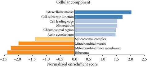 Col A Expression Is Associated With Immune Cell Infiltration In Meso