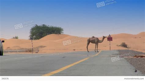 Car Camel Speed Pass Heat Haze Stock Video Footage 340576