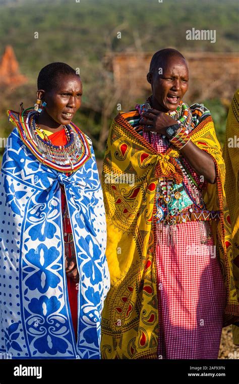 Tanzania. Maasai Village of Ololosokwan, Northern Serengeti. Women ...