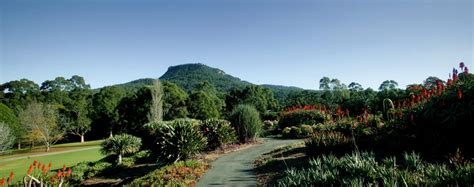 Botanic Garden, Wollongong – Destination Wollongong