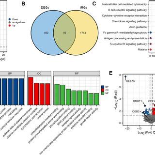 Screening Of Differentially Expressed Genes And Immune Related Genes