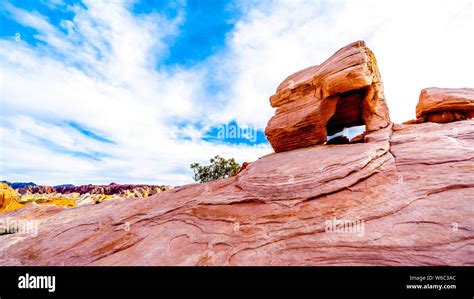 Bright Red Aztec Sandstone Rock Formation On The Fire Wave Trail In The Valley Of Fire State