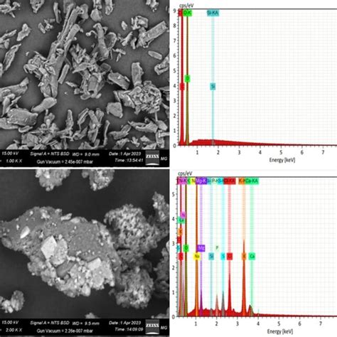 Morphological Behavior Purity And Elemental Analysis For The