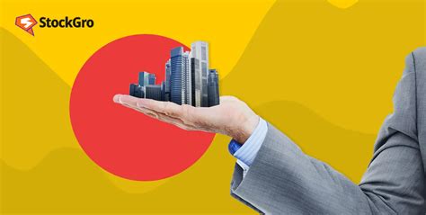 holding companies explained definition examples advantages