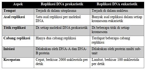 jelaskan perbedaan antara proses replikasi dna pro...