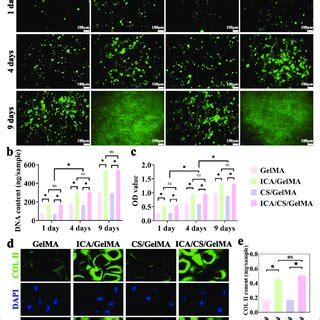 The Characterizations Of The Ica Cs Gelma Hydrogel And D Bioprinting