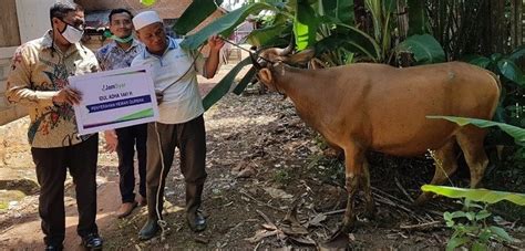 Peringati Hari Raya Idul Adha H Keluarga Besar Jamsyar Salurkan