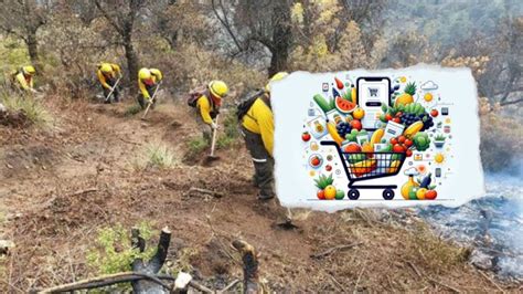 Acopian víveres para brigadistas que combaten incendios forestales en