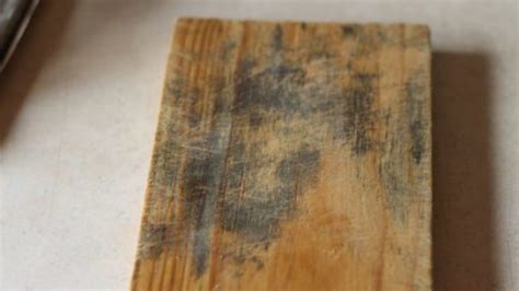 Tips On How To Remove Mold From Wood Clean Water Partners