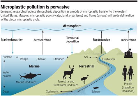 The Global Odyssey Of Plastic Pollution Science