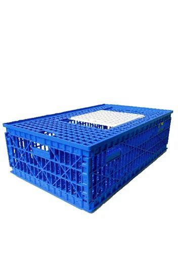 Chicken Birds Blue Ready Bird Transport Pickups Cage For Clinic