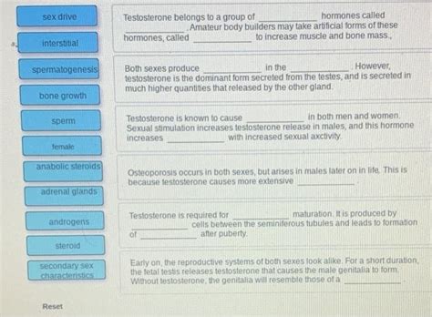 Solved Sex Drive Testosterone Belongs To A Group Of Hormones Chegg
