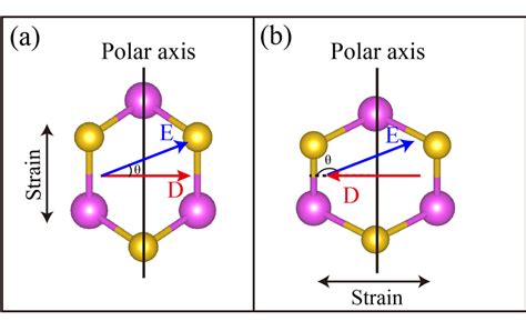 The Relationships Between The Strain Berry Curvature Dipole D And